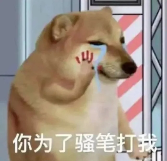 你为了骚笔打我（你为了骚笔打我）