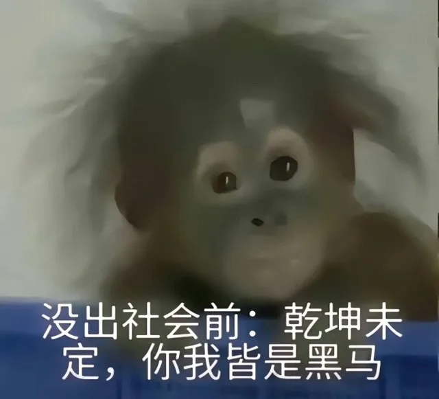 没出社会前：乾坤未定，你我皆是黑马（没出社会前：乾坤未定，你我皆是黑马）