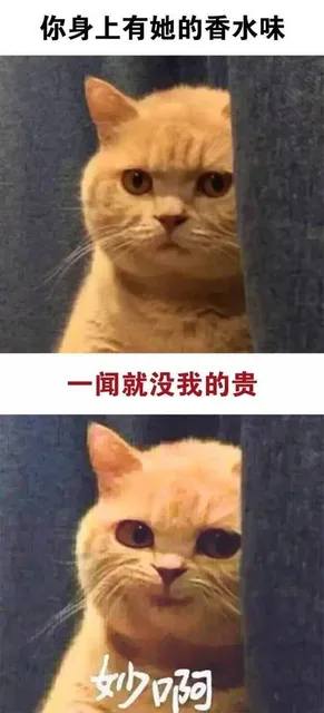 你身上有她的香水味，一闻就没我的贵，妙啊（你身上有她的香水味，一闻就没我的贵，妙啊）