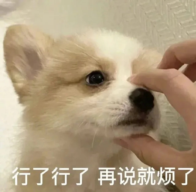 行了行了再说就烦了（行了行了再说就烦了）