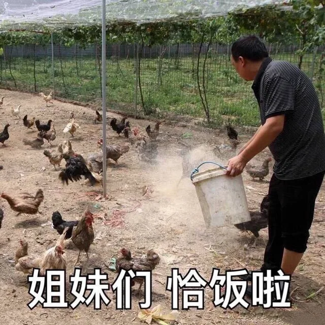 姐妹们 恰饭啦（姐妹们 恰饭啦）