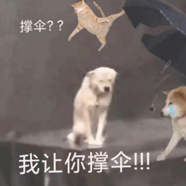 撑伞？？我让你撑伞！（撑伞？？我让你撑伞！）