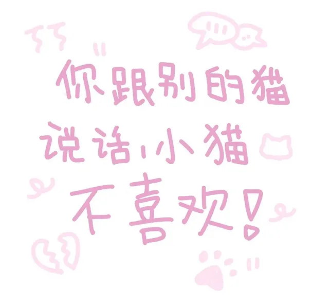 你跟别的猫说话小猫不喜欢