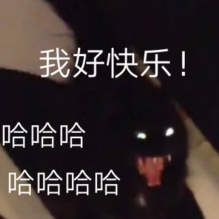 液体猫咪表情包_猫猫表情包