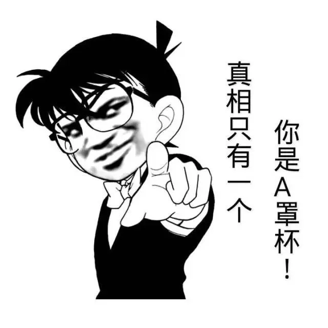 真想只有一个 你是A罩 （柯南）_真相_柯南表情包