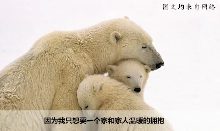 因为我只想要一个家和家人温暖的拥抱