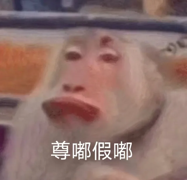 尊嘟假嘟（尊嘟假嘟）