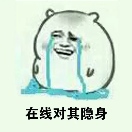 在线对其隐身（在线对其隐身）