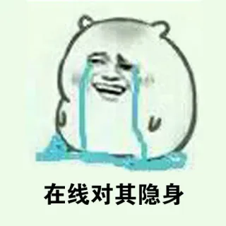 在线对其隐身