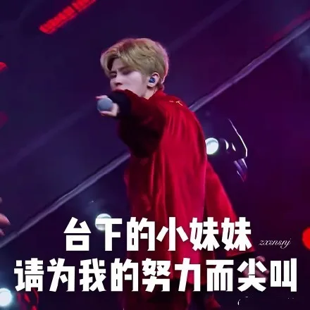 台下的小妹妹请为我的努力而尖叫