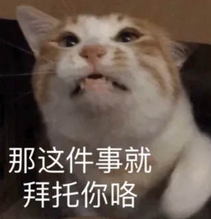那件事就拜托你咯