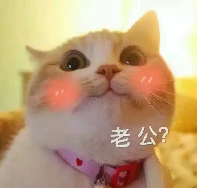 老公，不举高高么_猫咪_喵星人_撩妹撩汉
