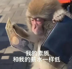 我的素质和我的薪水一样低（我的素质和我的薪水一样低）