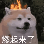 燃起来了（燃起来了）