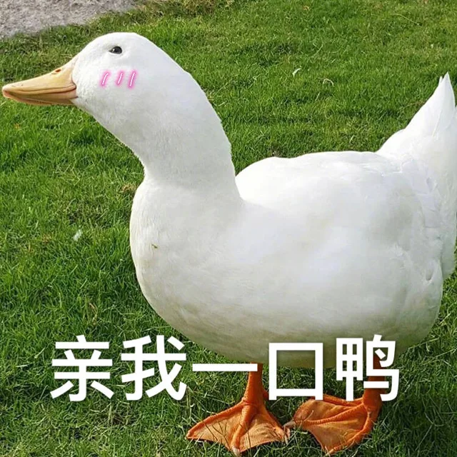 亲我□鸭