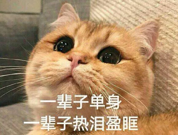 一辈子单身，一辈子热泪盈眶（一辈子单身，一辈子热泪盈眶）