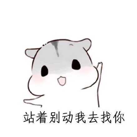 站着别动我去找你（站着别动我去找你）