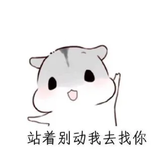 站着别动我去找你