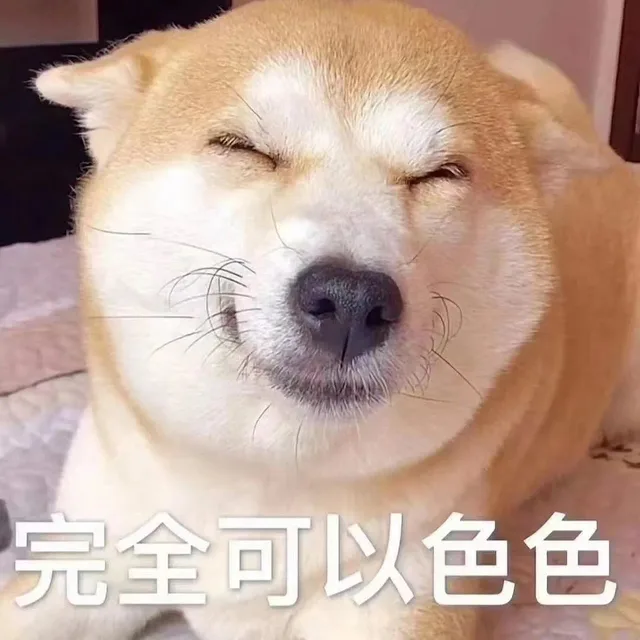 完全可以色色（完全可以色色）