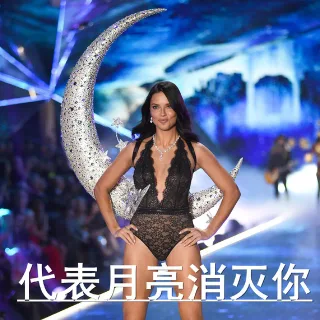 当维密模特变成表情包_维多利亚的秘密表情包