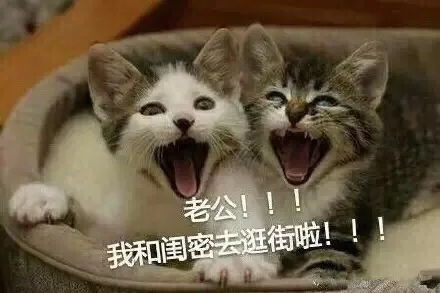 老公！！！我和闺密去逛街啦！！！（老公！！！我和闺密去逛街啦！！！）