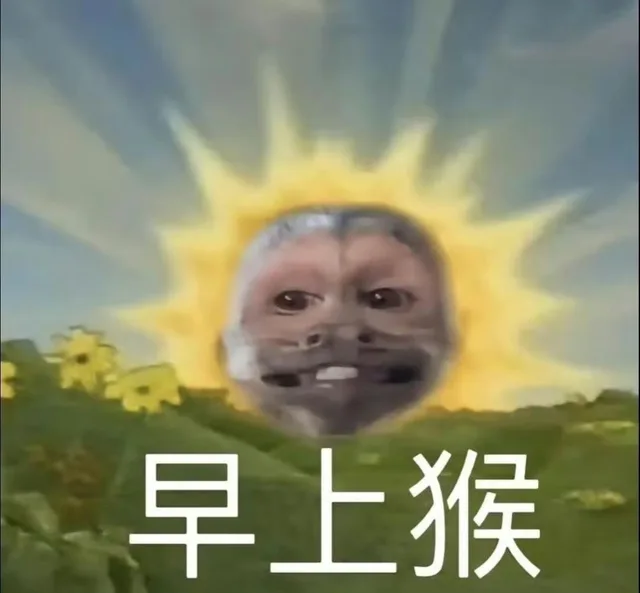 早上猴（早上猴）