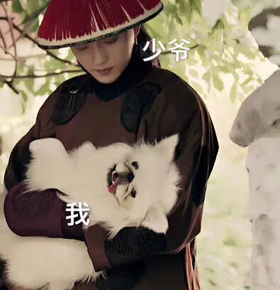 我和少爷