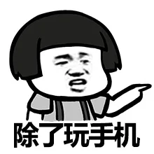 除了玩手机