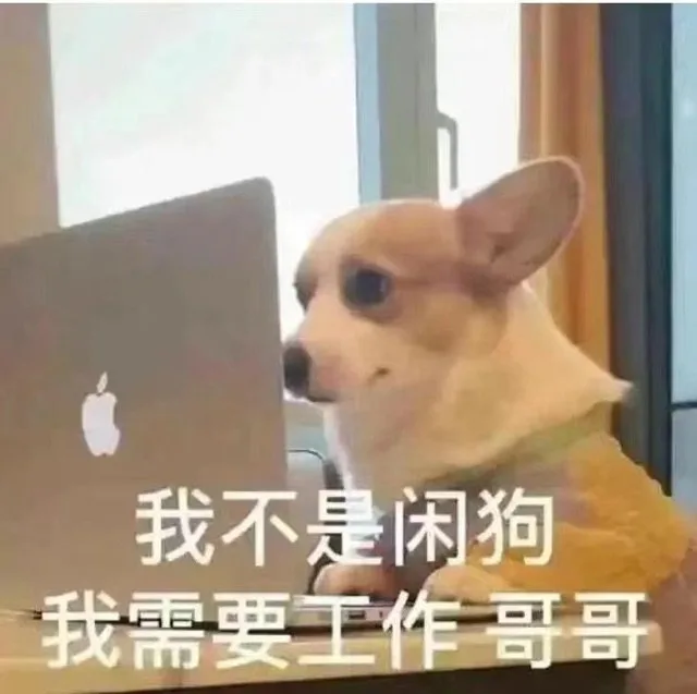 我不是闲狗我需要工作哥哥（我不是闲狗我需要工作哥哥）