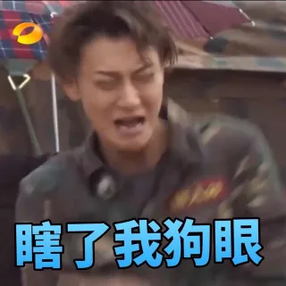 黄子韬表情包_黄子韬_wuli 韬韬_明星表情