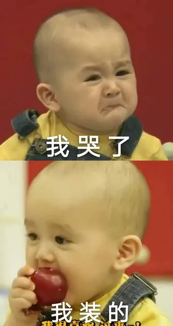 我哭了我装的（我哭了我装的）