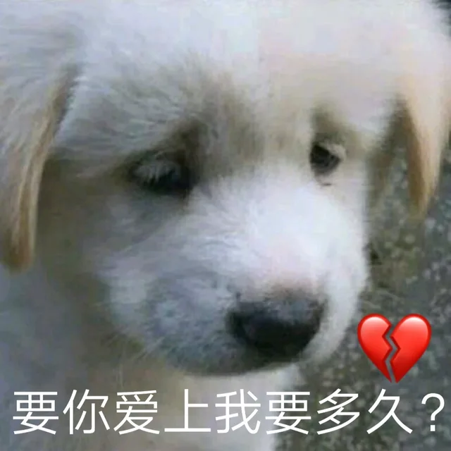 要你爱上我要多久?（要你爱上我要多久?）