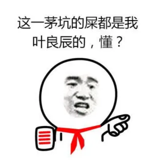 这一茅坑的屎都是我叶良臣的，懂？表情包