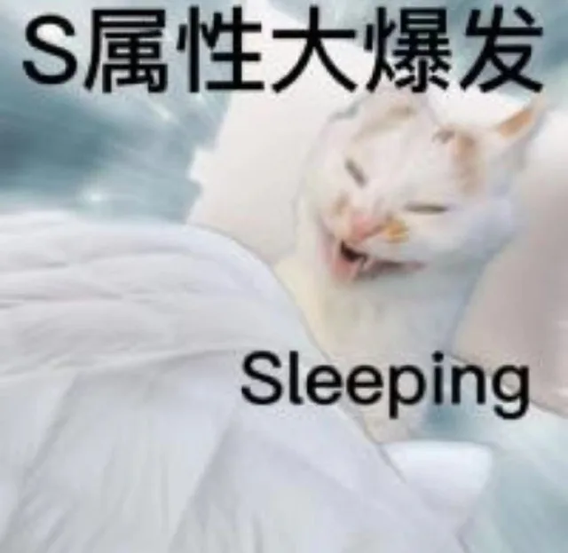 S属性大爆发Sleeping（S属性大爆发Sleeping）