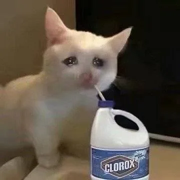 流泪猫猫头