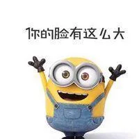 你的脸有这么大