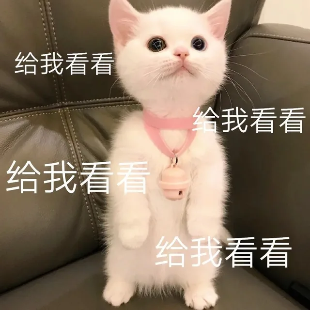 可爱猫咪表情包_猫咪
