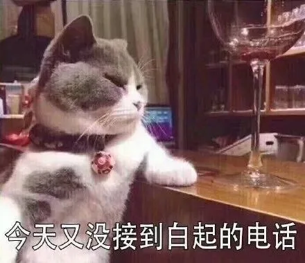 天又没接到白起的电话（天又没接到白起的电话）