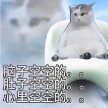 脑子空空的胚子空空的。。心里空空的。。（脑子空空的胚子空空的。。心里空空的。。）