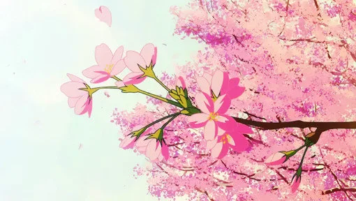 少女粉朋友圈背景图（少女粉朋友圈背景图）