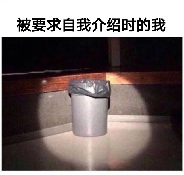 被要求自我介绍时的我