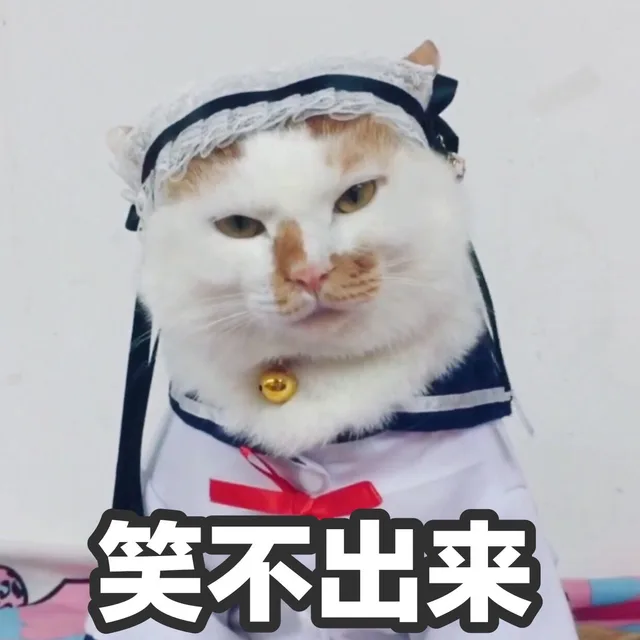 笑不出来