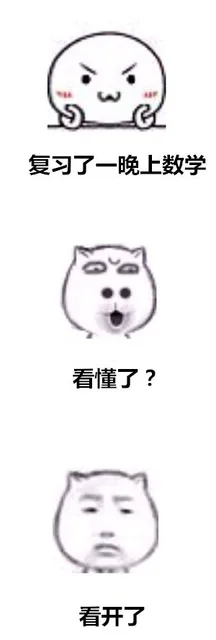 复习了一晚上数学。看懂了吗？看开了，这辈子是不可能看懂的
