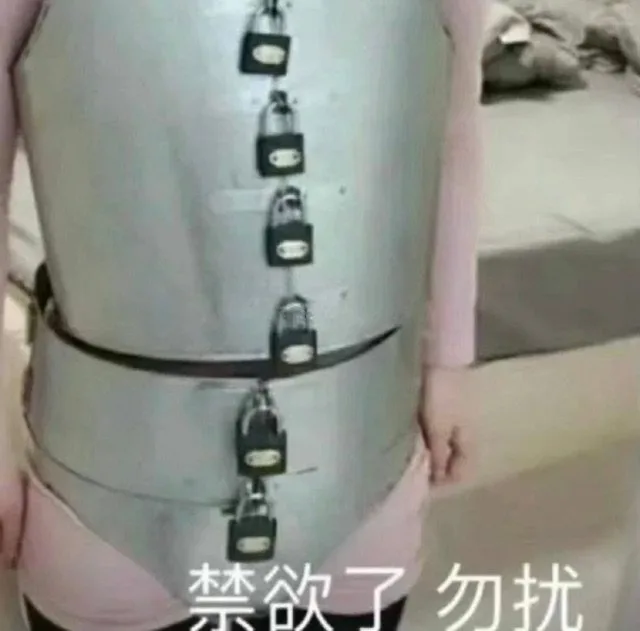 禁欲了勿扰（禁欲了勿扰）