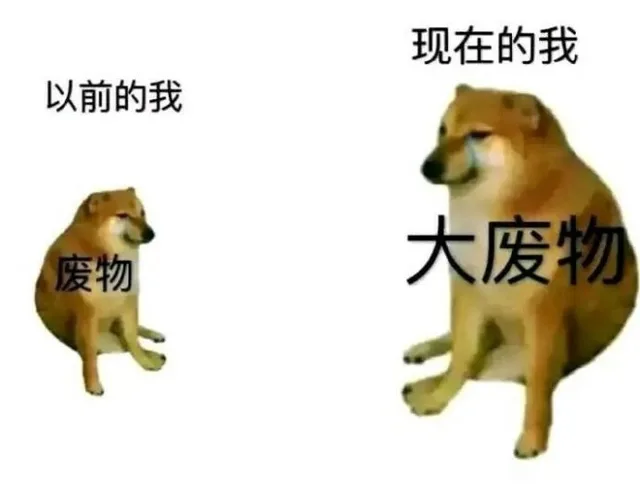现在的我以前的我废物大废物