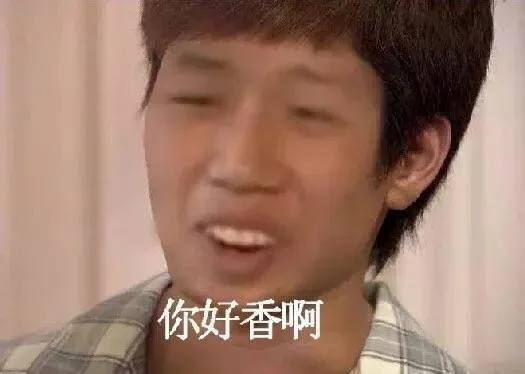 你好香啊（换脸）（你好香啊（换脸））