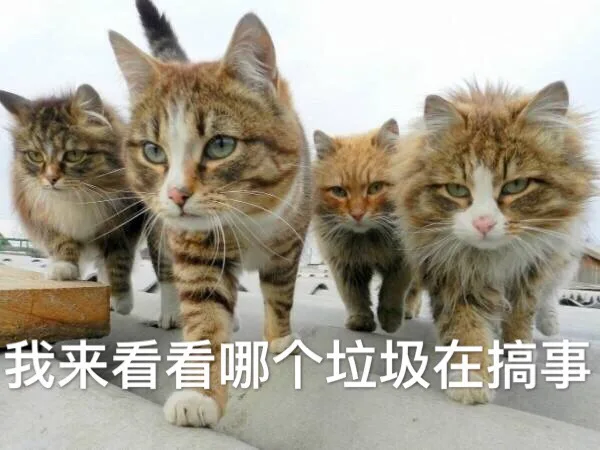 我来看看哪个垃圾在搞事！