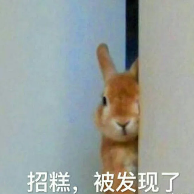 糟糕，被发现了