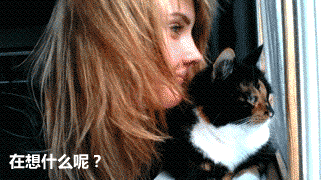 在想什么呢？烦着呢？走开（在想什么呢？烦着呢？走开）