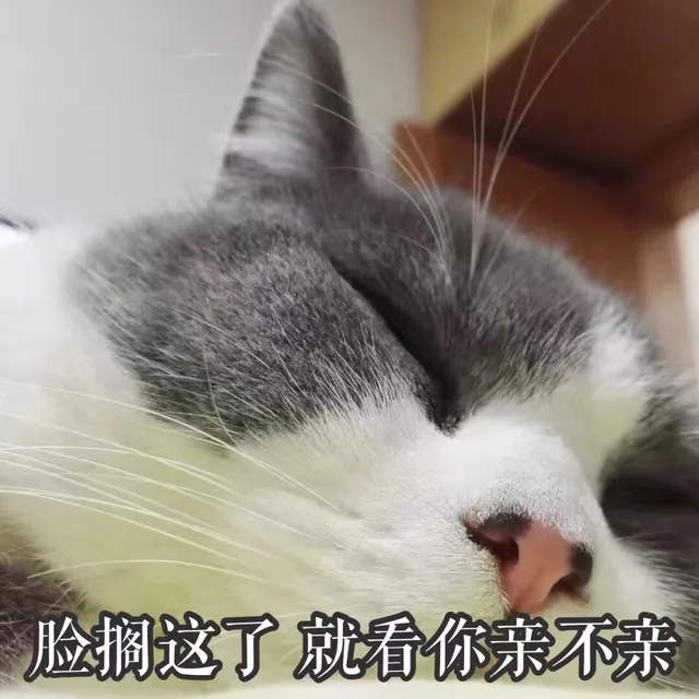 脸搁这了就看你亲不亲（脸搁这了就看你亲不亲）